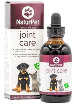 Joint Care - 100ml