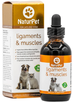 Ligaments & Muscles - 100ml