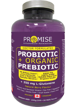 Probiotic + Organic Prebiotic (Berry) - 300g