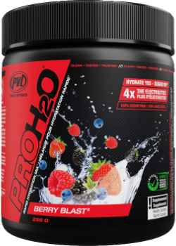 PROH20 (Berry Blast) - 255g