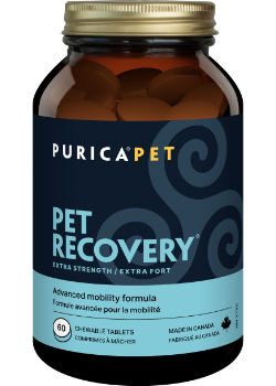 Pet Recovery Extra Strength - 60 Chew Tabs