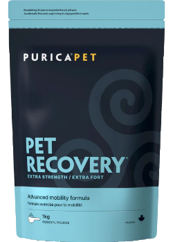 Pet Recovery Extra Strength Powder - 1kg