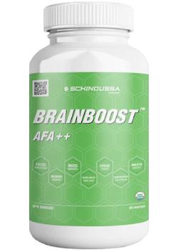 Brain Boost - 60 V-Caps
