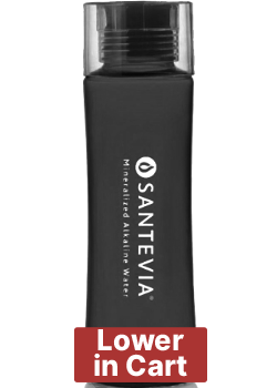Tritan Water Bottle (Black) - 600ml - Santevia Systems