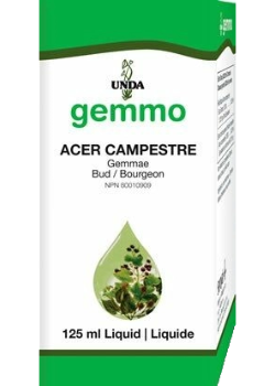 Gemmo Acer Campestre - 125ml