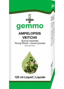 Gemmo Ampelopsis Veitchii - 125ml