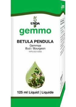 Gemmo Betula Pendula (Bud) - 125ml