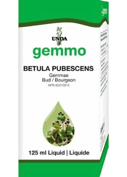 Gemmo Betula Pubescens - 125ml