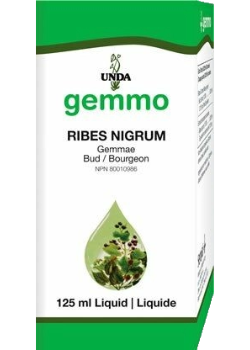 Gemmo Ribes Nigrum - 125ml