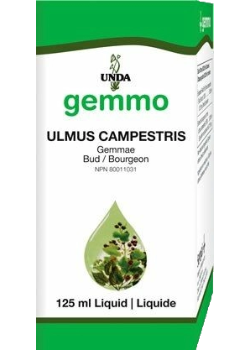 Gemmo Ulmus Campestris - 125ml