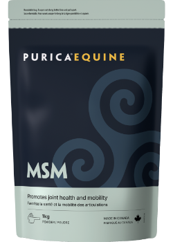 Buy Purica PET PURE MSM (VEGAN) – 1KG at NationalNutrition.ca