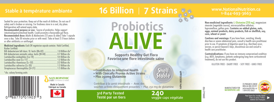Probiotics Alive 16 Billion (Multi Strain / Shelf Stable) - 240 V-Caps + BONUS