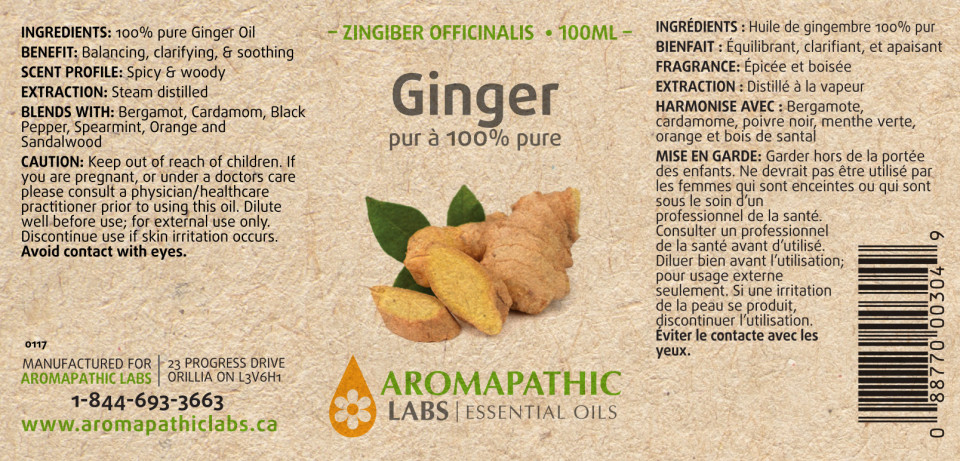 Ginger Oil - 100ml + BONUS