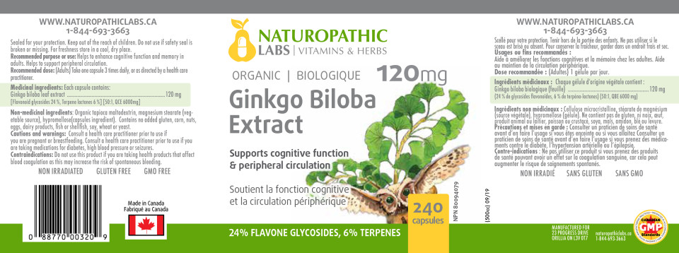 Ginkgo Biloba Double Strength (Organic) 120mg - 240 + 60 Caps FREE