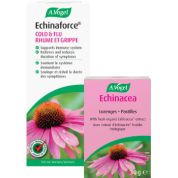 Echinaforce - 100ml + BONUS