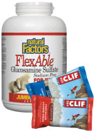 Flexable Glucosamine Sulfate 500mg - 500 Caps + BONUS
