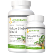 Ginkgo Biloba Double Strength (Organic) 120mg - 240 + 60 Caps FREE