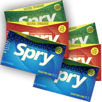 Spry Mixed Flavours Gum - 6 x 10 Pieces