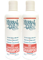 Dry Damaged Hair Shampoo - 250 + 250ml