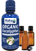 100% Pure Eucalyptus Essential Oil (Organic) - 50ml + BONUS