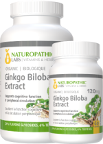 Ginkgo Biloba Double Strength (Organic) 120mg - 240 + 60 Caps FREE