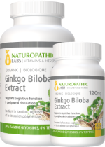 Ginkgo Biloba Double Strength (Organic) 120mg - 240 + 60 Caps FREE