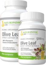 Olive Leaf Extract 500mg (Organic / 20% Oleuropein) - 240 + 60 V-Caps FREE