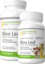 Olive Leaf Extract 500mg (Organic / 20% Oleuropein) - 240 + 60 V-Caps FREE