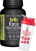 Trib-Force 500mg - 60 Caps + BONUS