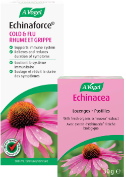 Echinaforce - 100ml + BONUS