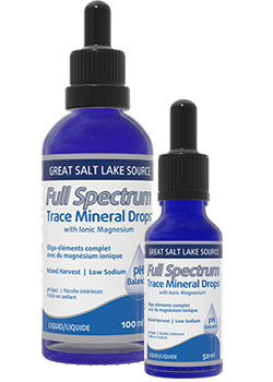 Concentrace Trace Mineral Drops - 100ml + BONUS