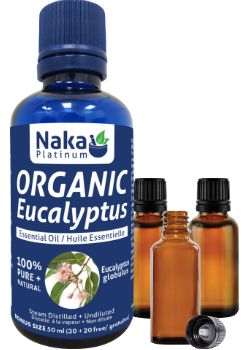 100% Pure Eucalyptus Essential Oil (Organic) - 50ml + BONUS