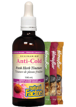 Echinamide Anti-Cold Echinacea - 100ml + BONUS