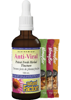 Echinamide Anti-Viral Potent Herb Tincture - 100ml + BONUS