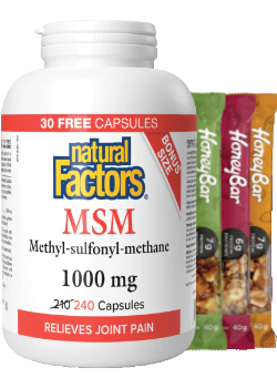 MSM 1,000mg - 240 Caps + BONUS