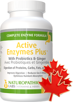 Active Multi Enzymes Plus (With Probiotics & Ginger) - 240 V-Caps + BONUS
