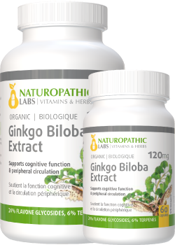 Ginkgo Biloba Double Strength (Organic) 120mg - 240 + 60 Caps FREE
