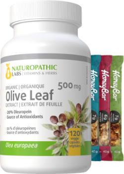 Olive Leaf Extract 500mg (Organic / 20% Oleuropein) - 120 V-Caps + BONUS