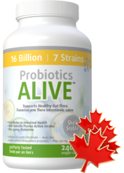 Probiotics Alive 16 Billion (Multi Strain / Shelf Stable) - 240 V-Caps + BONUS