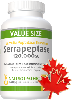 Serrapeptase 120,000SU (Enteric Coated) - 240 V-Caps + BONUS
