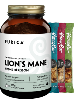 Lion's Mane Powder - 100g + BONUS