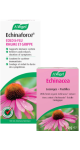 Echinaforce - 100ml + BONUS