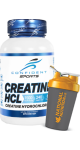 Creatine HCL 750mg - 240 V-Caps + BONUS