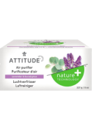 Nature+ Technology Air Purifier (Lavender & Eucalyptus) - 227g