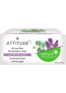 Nature+ Technology Air Purifier (Lavender & Eucalyptus) - 227g