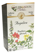 Angelica Root Tea (Organic) - 24 Tea Bags