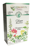 Chaga Mushroom Tea (Wildcrafted) - 24 Tea Bags