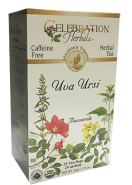Uva Ursi Tea (Organic) - 24 Tea Bags