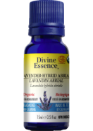 Lavender Oil (Hybrid Abrial, Organic) - 15ml