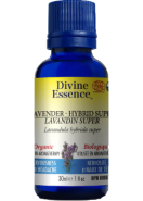 Lavender Oil (Hybrid Super, Organic) - 30ml
